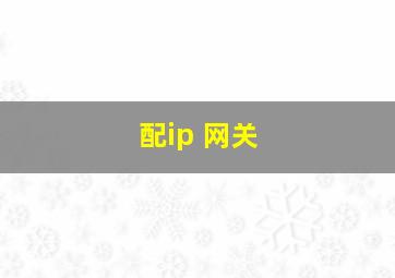 配ip 网关